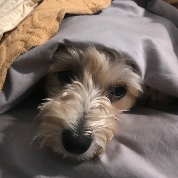 Meet your Posher, Melissa - Picture 8 of 11